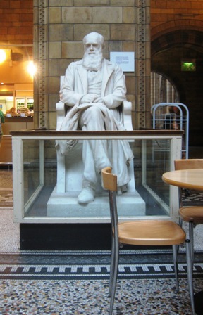 Charles Darwin boxed